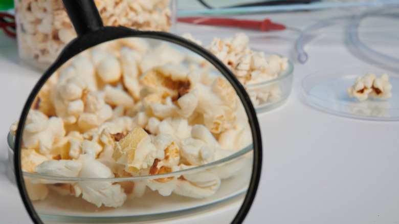 Magnifying glass being held up to a lab dish full of popcorn