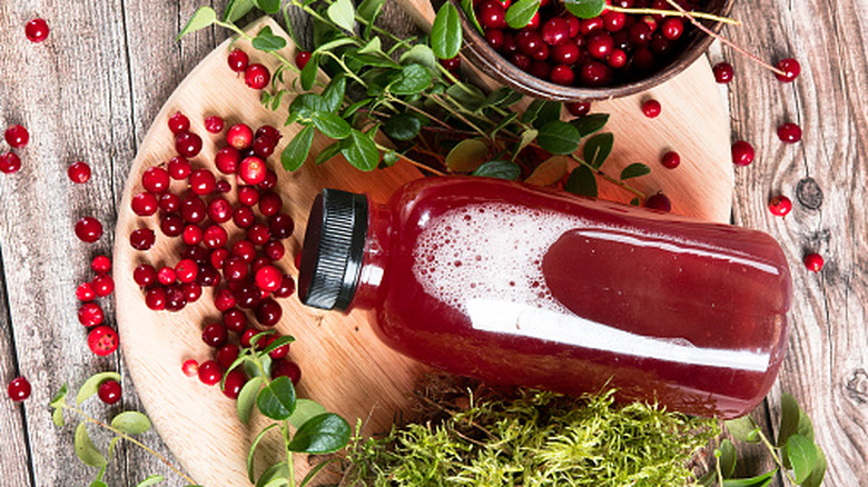 A bottle of cranberry juice lays on a table surrounded by cranberries and herbs.