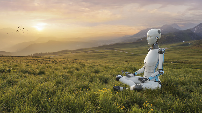 AI robot is meditating in nature