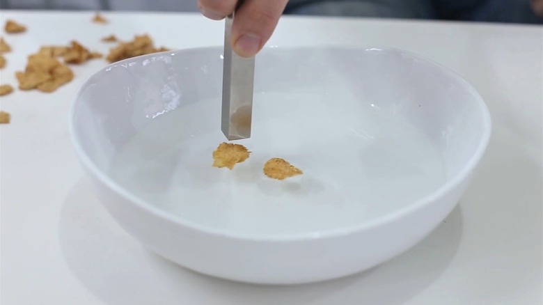 Long rectangular magnet held above a white bowl of water and leading a Total cereal flake around another cereal flake