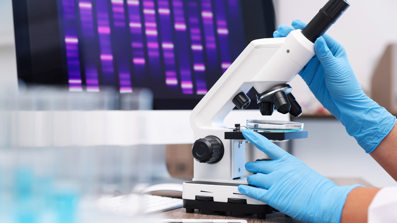 Scientist wearing blue gloves using a microscope