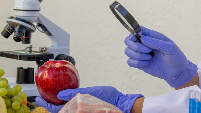 Person examining an apple with a magnifying glass