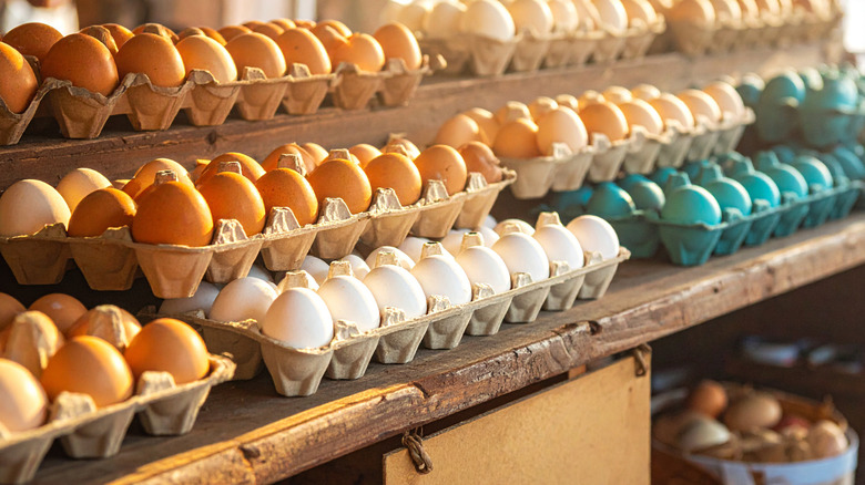 Cartons of white, brown, and blue chicken eggs on display