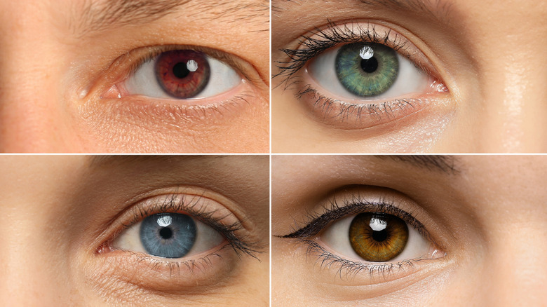 Close-up of four people's different eye colors