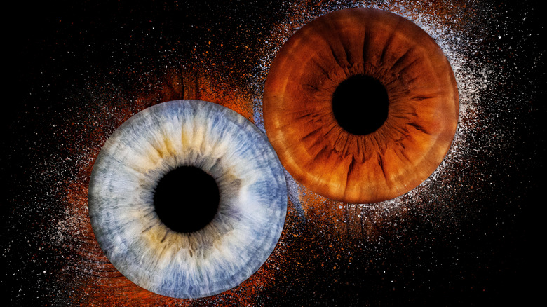 One blue iris (left) and one brown (right) iris side by side