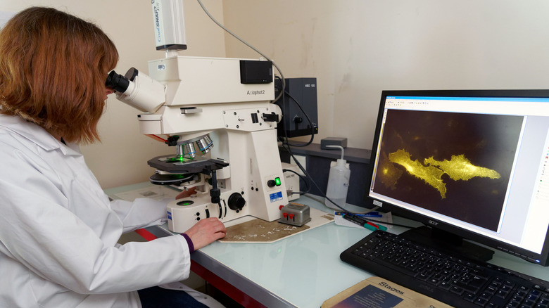 A woman using an electron microscope to study COVID-19