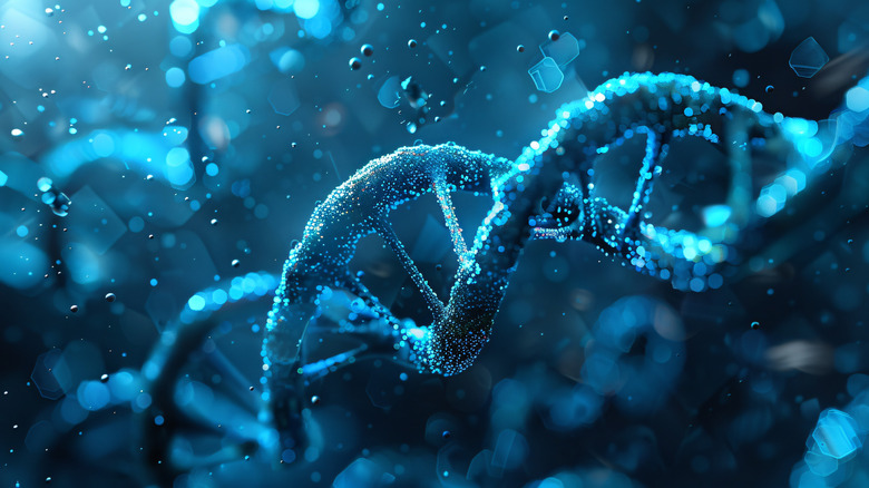 Representation of DNA double helix