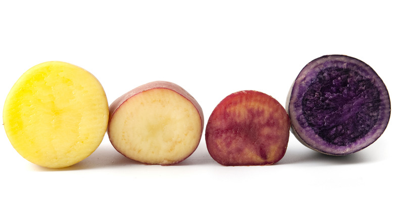 Cut potatoes sitting on their sides to display their varied flesh colors