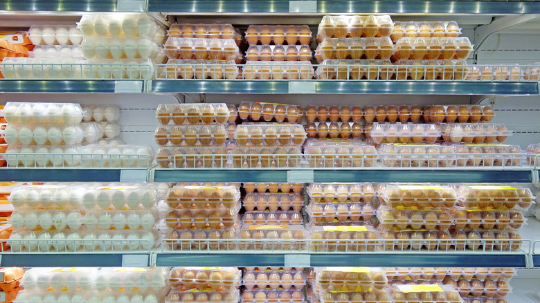 Packs of eggs in the supermarket refrigerator