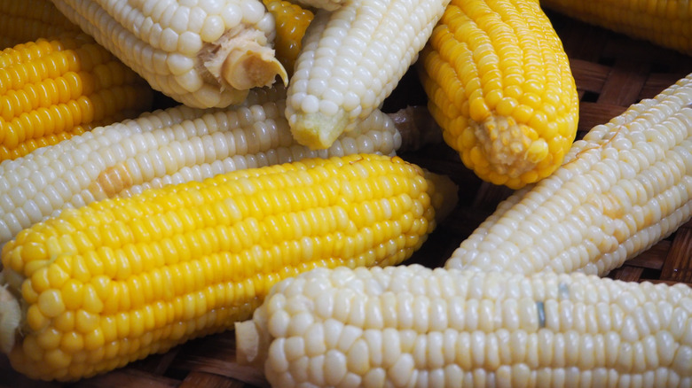 Assortment of yellow and white corn on the cob