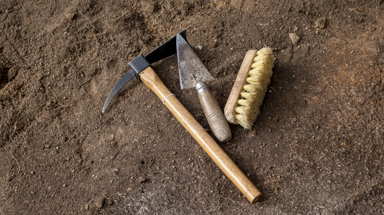 Archaeological tools lay on dirt