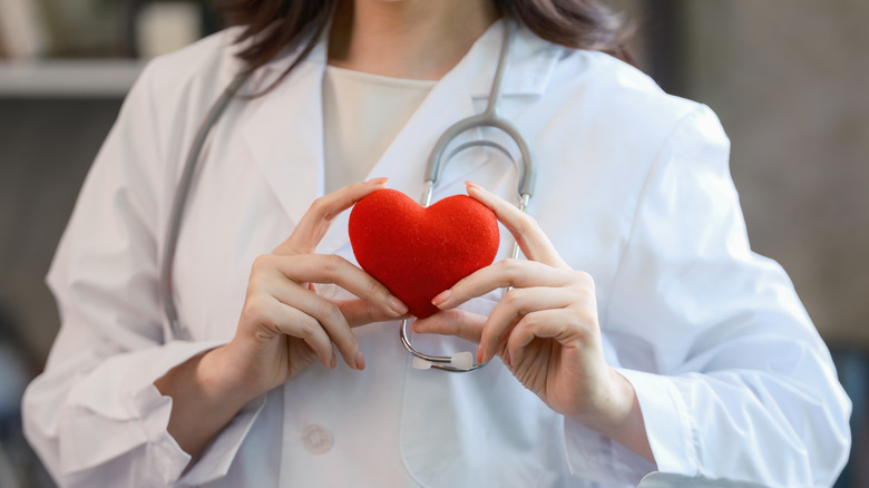 Doctor holding a model of a heart