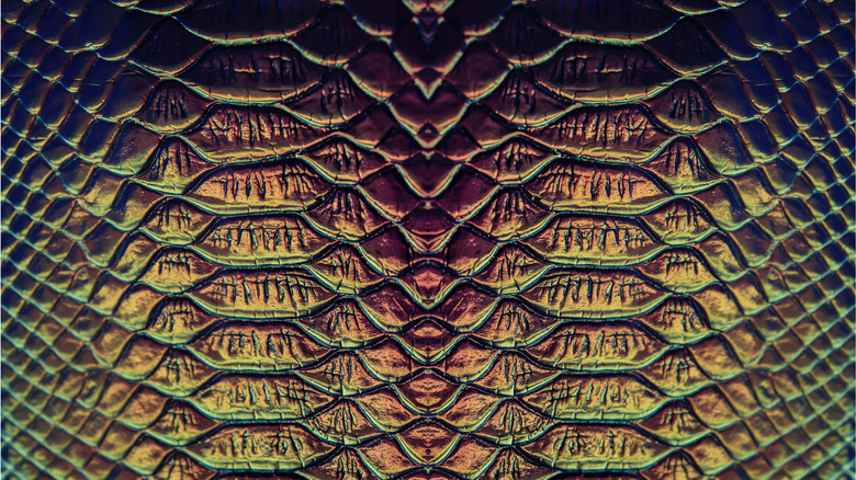 iridescent snake scales