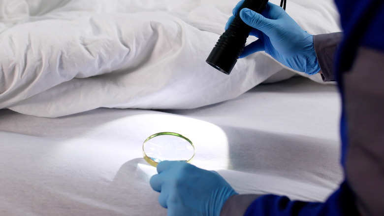 Person with a magnifying glass and flash light looks for bed bugs in a bed
