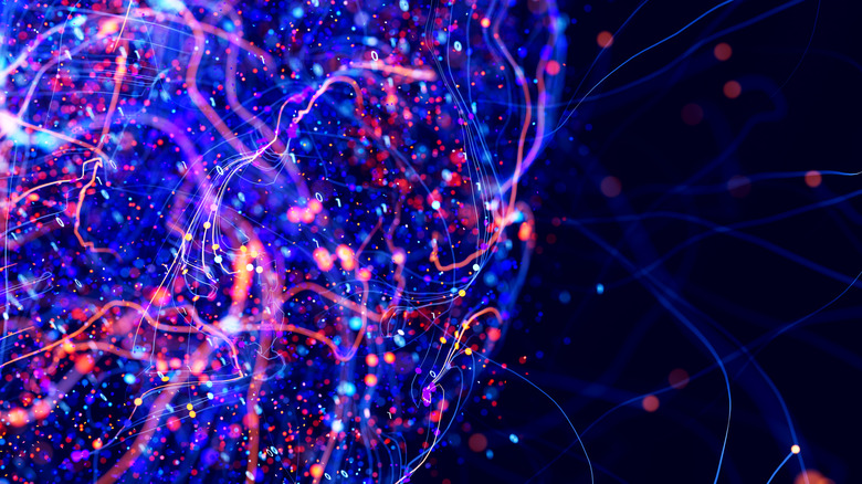 Abstract representation of a circuit-like neural network.