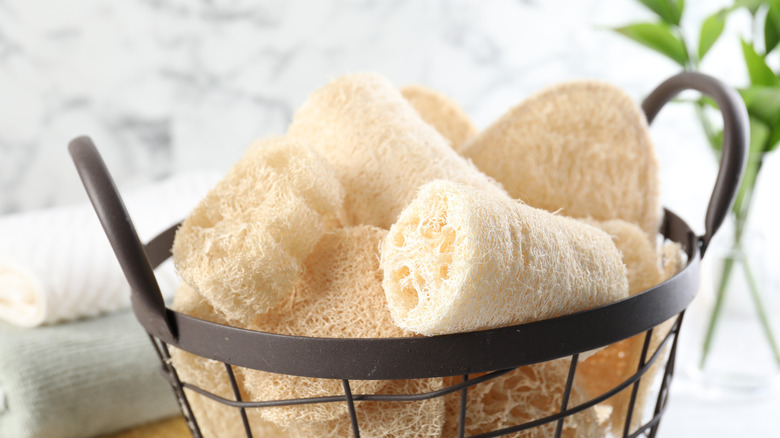 Close up of loofahs in a metal basket
