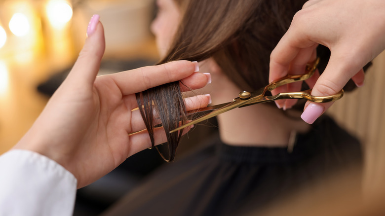 A close-up of a hair stylist cutting a person's hair.