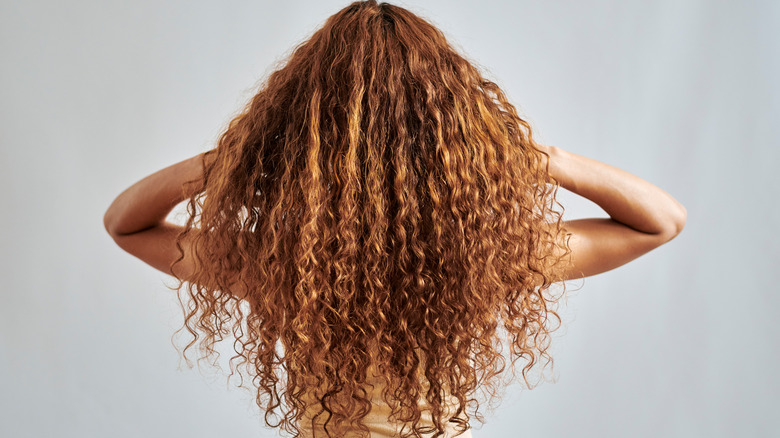 The back of a woman with very long, curly hair.