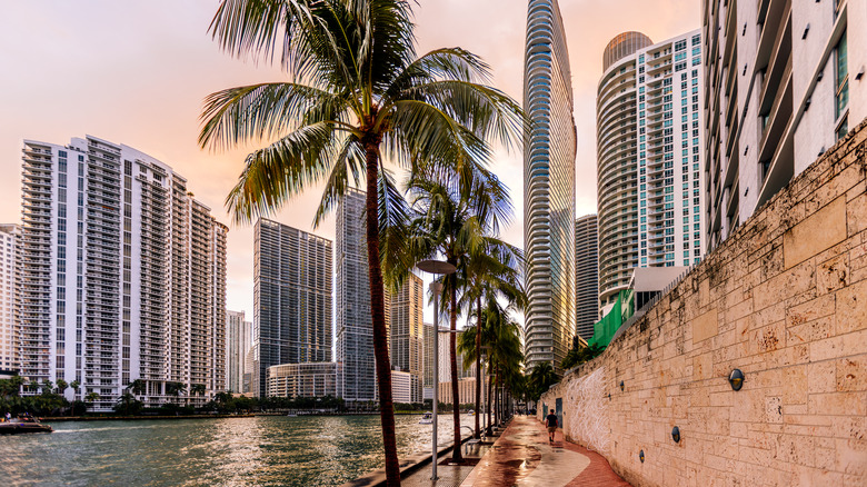 Skyscrapers can be seen on the waterfront of Miami with palm trees lining a walkway