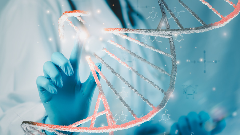 3D model of double-helix DNA strand, with scientists touching highlighted gene section