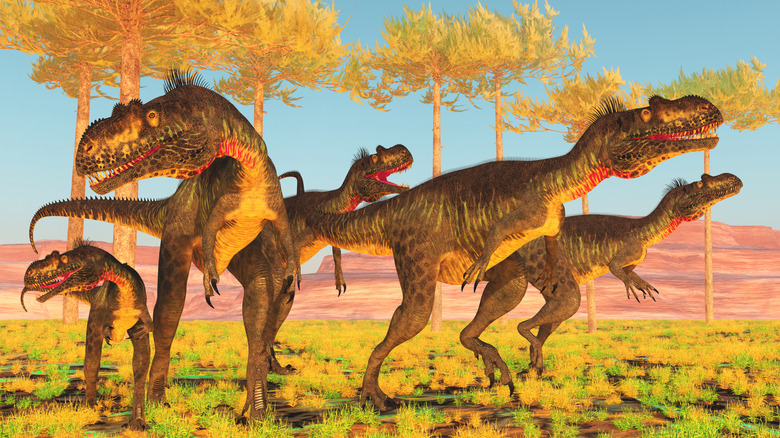 illustration of a pack of Megalosaurus