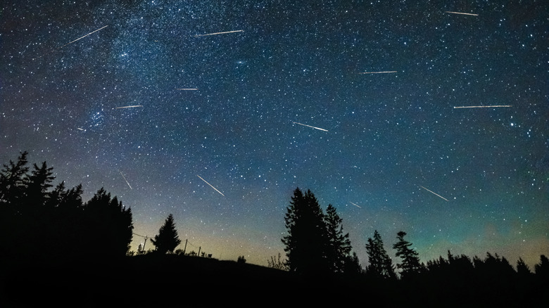 Perseid meteors over the Czech Republic