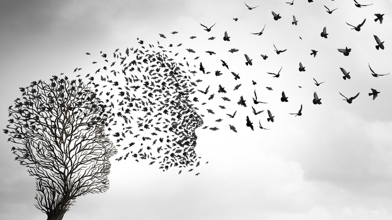 Death concept of a tree with branches shaped like a facial profile and birds leaving in a group that fades into a few