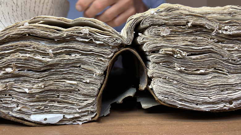 thick book with old, decaying pages