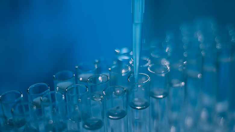 Scientist sampling clear liquid from test tubes with a pipette
