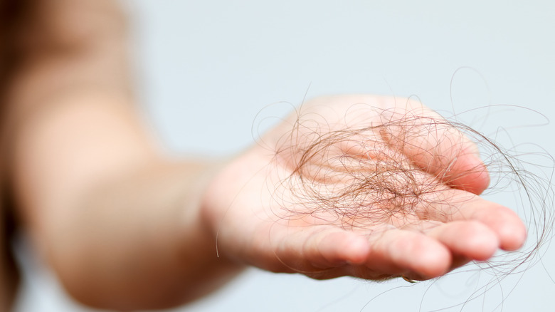A woman's hand holding strands of hair