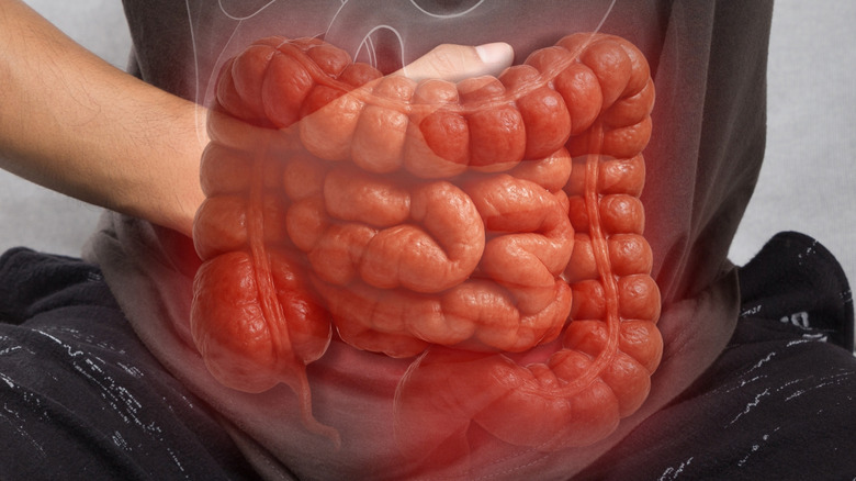 Red graphic of the intestines over a hand holding an abdomen