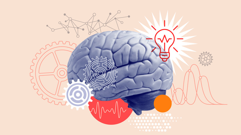 A collage featuring a brain, a cog, and a lightbulb.
