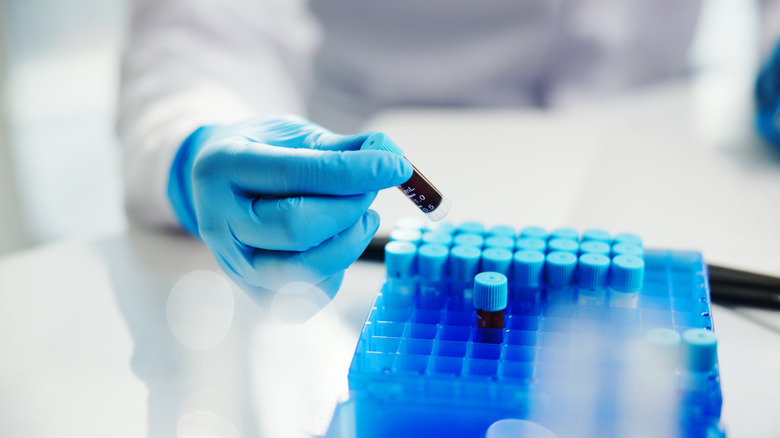 Gloved hand sorting vials of blood in lab