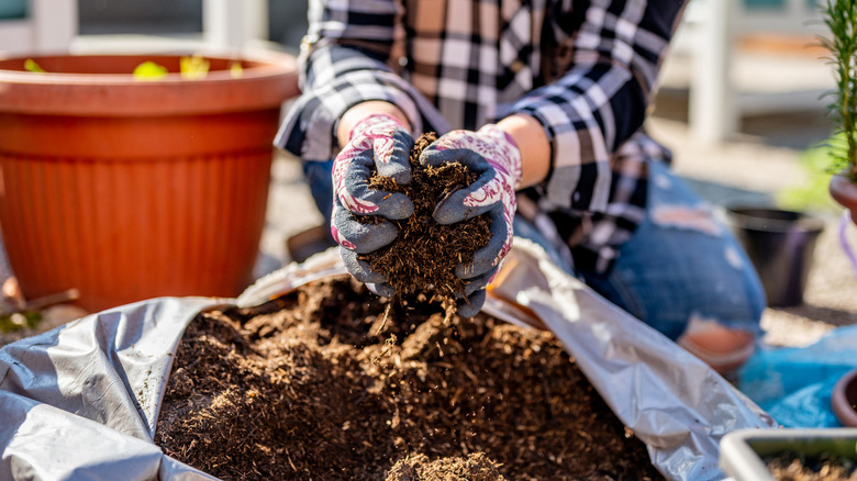 Close-up of gloved hands scooping soil out of a bag for gardening