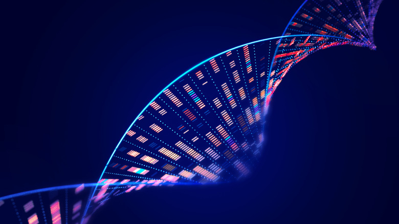 DNA molecular structure with data sequencing of human genome