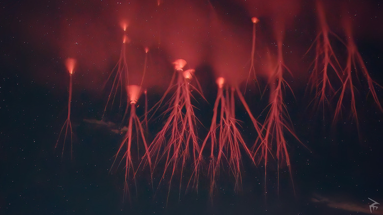 Red sprite lightning resembling red jellyfish