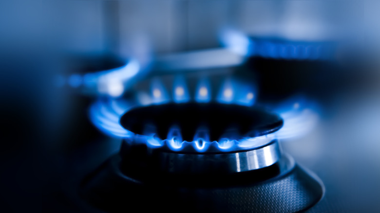 Blue gas flames on a stove burner