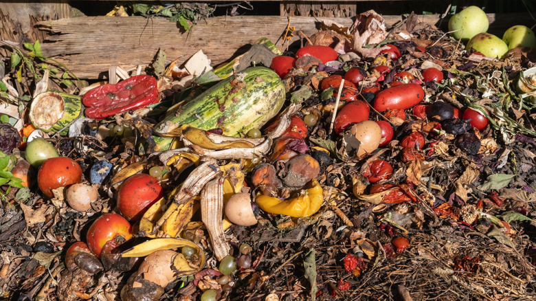 Heap of food scraps