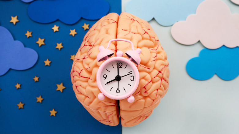 Human brain sculpture with an alarm clock on top sits atop a background showing a night sky on the left and daytime sky on the right.