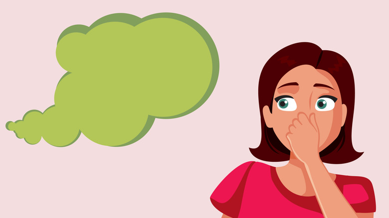 Cartoon woman holding her nose as a green fart cloud approaches