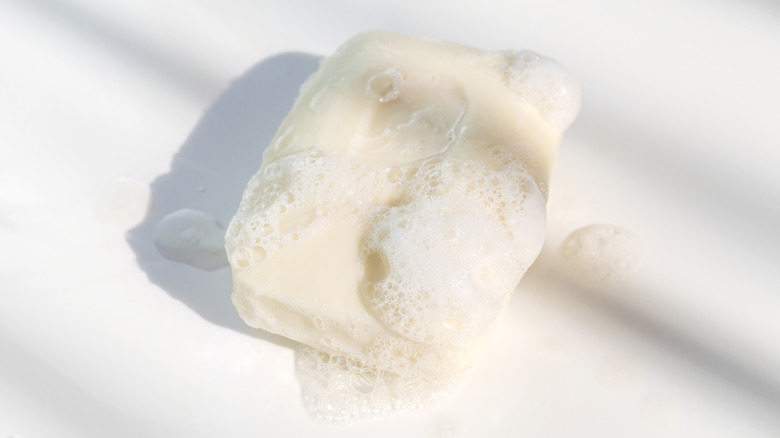A bar of soap with suds on a white background.