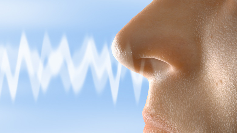 Close up of a human nose with a representation of scent overlaid