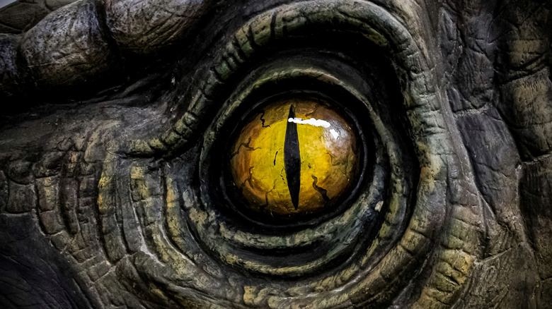 model of a T. rex eye