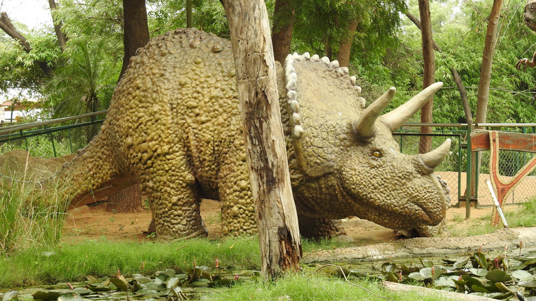 A triceratops statue stands in a park