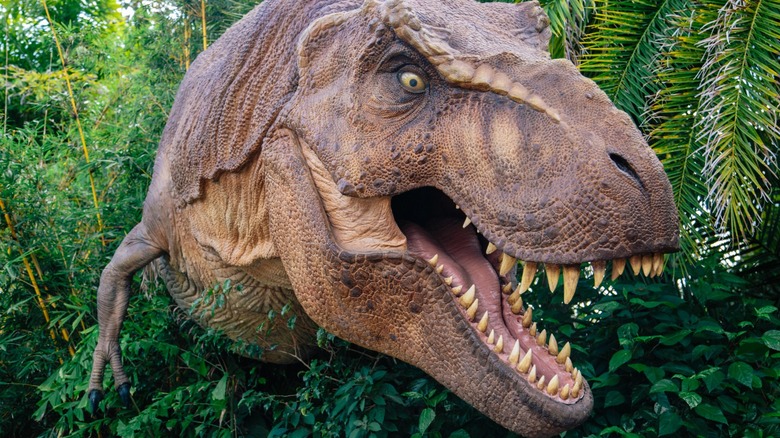 The top half of a T. rex animatronic coming out of the bushes in the 