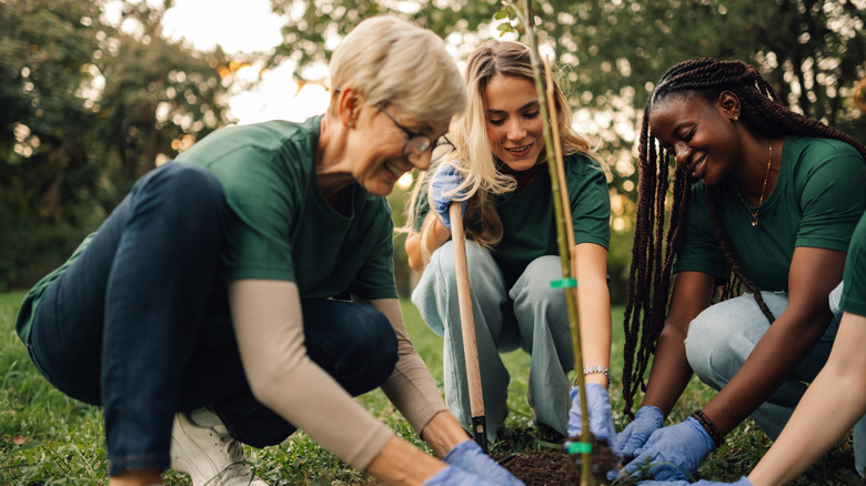 Environmental club members planting plants, senior woman and two young women smiling