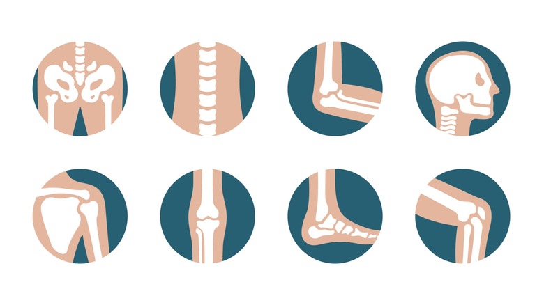 Vector illustrations of various body parts