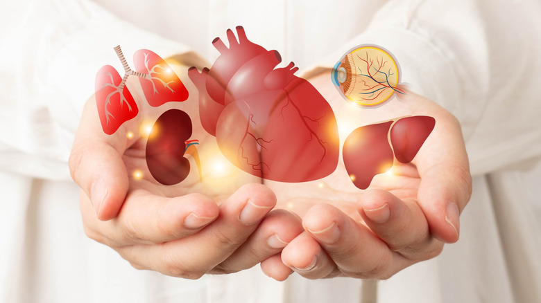 Various human organs floating above cupped hands
