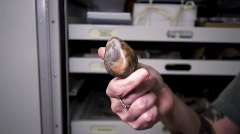 Female hand with ring holding a sauropod gastrolith fossil, smooth, tennis-ball sized stone