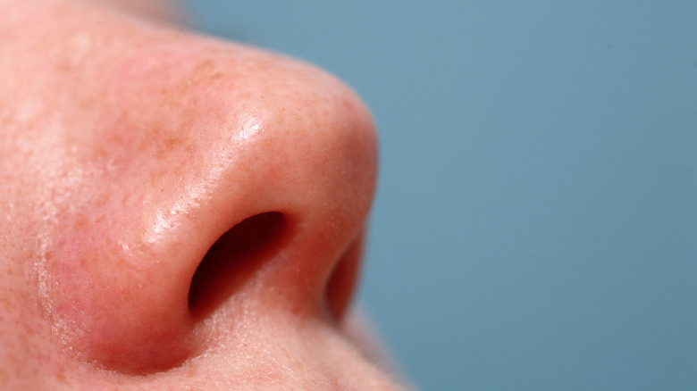 A closeup shows a female nose pointing upwards with a blue background